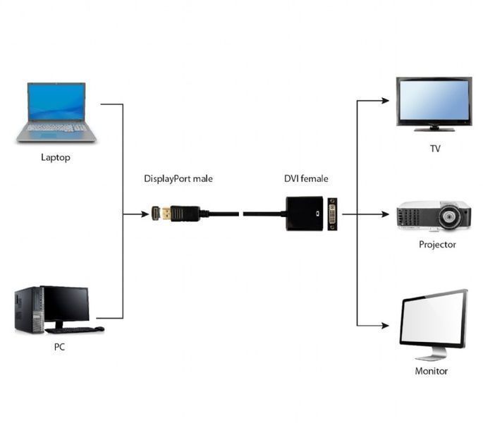 Перехідник Cablexpert A-DPM-DVIF-002 DisplayPort - DVI (A-DPM-DVIF-002) 78787 фото
