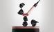 Фен Dyson HD17 Supersonic R Jasper/Plum (122781-01) STH0040463 фото 3