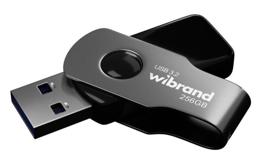 Флеш пам'ять USB Wibrand Lizard 256GB USB 3.2 Gen1 Black 51912 фото