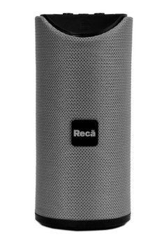 Акустична система Reca AST-311G Grey 19886 фото