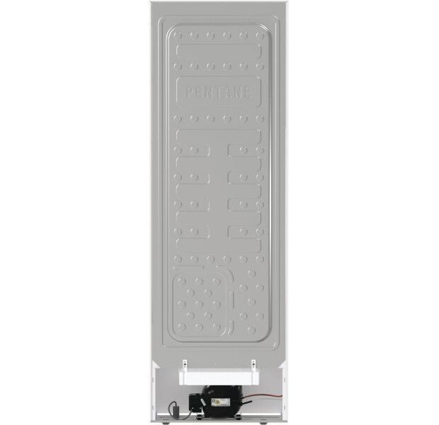 Морозильна камера Gorenje FN619EEW5 No Frost 22307 фото