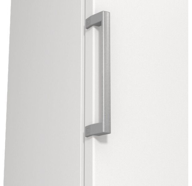 Морозильна камера Gorenje FN619EEW5 No Frost 22307 фото