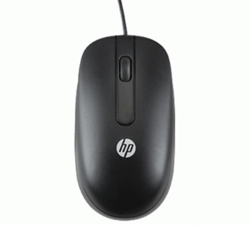 Мышка HP USB Optical Scroll Mouse