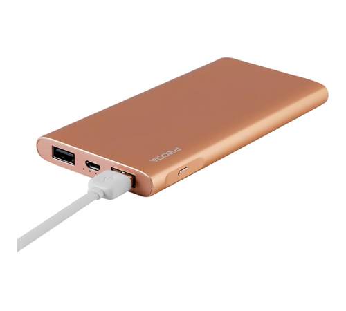 Power Bank REMAX Kinzy PPP-13 10000 mAh Gold